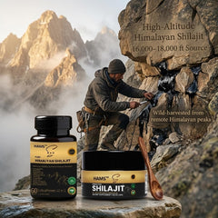 HAMS Pure Himalayan Shilajit Resin & Ashwagandha Combo Pack (Pack of 2) - Authentic Mumijo with 84+ Trace Minerals, Fulvic Acid & Elemental Gold, High Potency, Lab Tested, Vegan, 90g