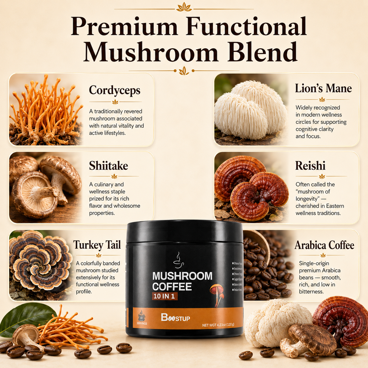 BOOSTUP Mushroom Coffee 10 in 1 – Premium Functional Mushroom Coffee Blend | Energy, Focus & Daily Wellness | 30 Servings (120g)