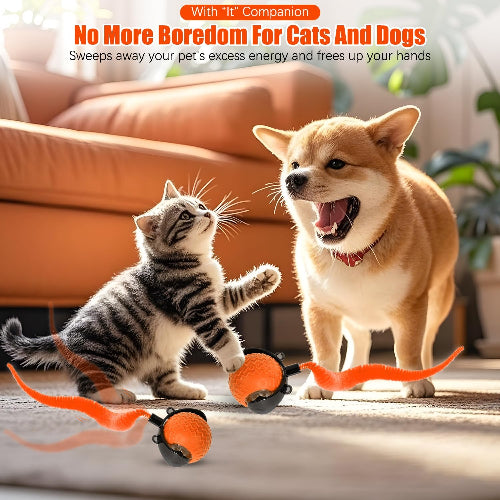 Interactive Cat Toy Ball with Feather Tail