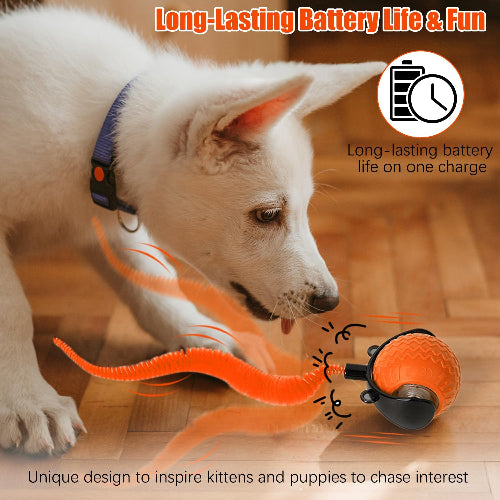 Interactive Cat Toy Ball with Feather Tail