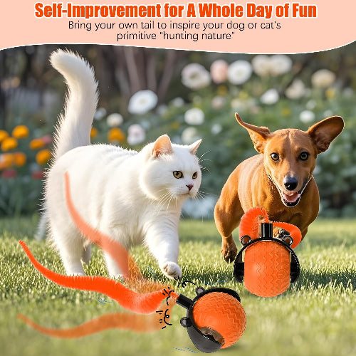 Interactive Cat Toy Ball with Feather Tail