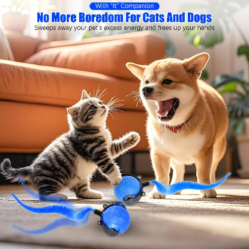 Interactive Cat Toy Ball with Feather Tail