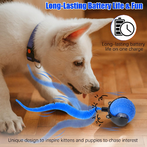 Interactive Cat Toy Ball with Feather Tail