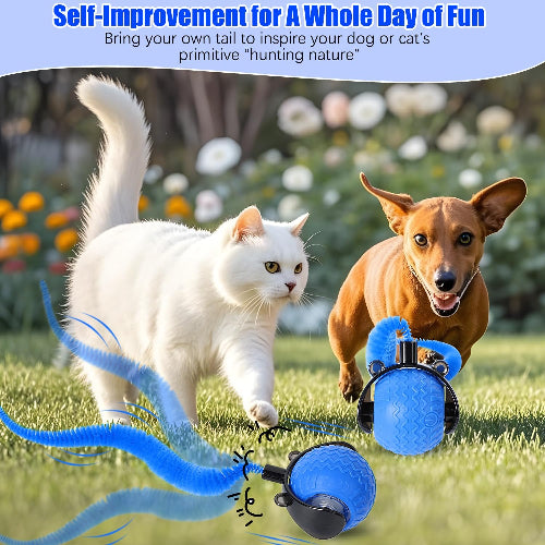 Interactive Cat Toy Ball with Feather Tail