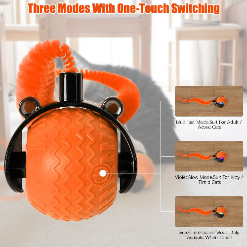 Interactive Cat Toy Ball with Feather Tail