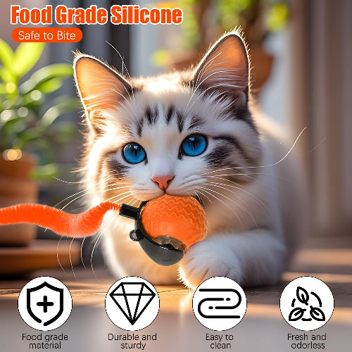 Interactive Cat Toy Ball with Feather Tail