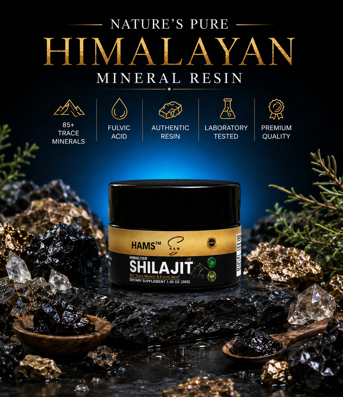 HAMS™ Pure Himalayan Shilajit Resin 30g – Authentic Mumijo with 84+ Trace Minerals, High Potency Fulvic Acid & Elemental Gold, Lab Tested Vegan Energy & Vitality Supplement
