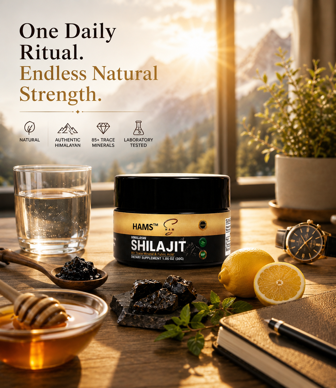 HAMS™ Pure Himalayan Shilajit Resin 30g – Authentic Mumijo with 84+ Trace Minerals, High Potency Fulvic Acid & Elemental Gold, Lab Tested Vegan Energy & Vitality Supplement