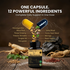 UltraPower 12-in-1 Herbal Complex – Premium Himalayan Shilajit Blend with 11 Potent Botanicals for Energy, Stamina & Daily Wellness Support