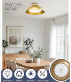 Modern Gold LED Flush Mount Ceiling Light – 24W, 5 Colour Temperatures